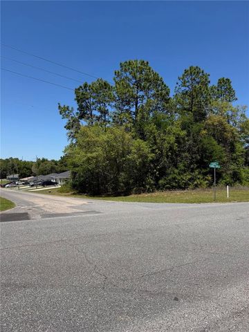 8975 N TRAVIS DRIVE, Citrus Springs, FL 34434