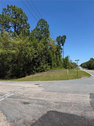 8975 N TRAVIS DRIVE, Citrus Springs, FL 34434
