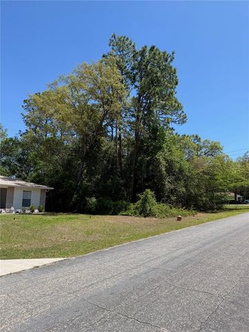 8975 N TRAVIS DRIVE, Citrus Springs, FL 34434