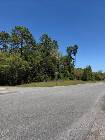 8975 N TRAVIS DRIVE, Citrus Springs, FL 34434