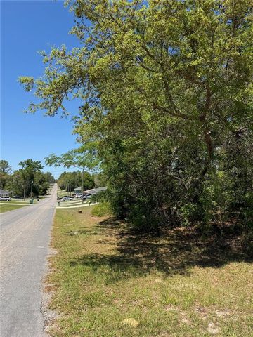 8975 N TRAVIS DRIVE, Citrus Springs, FL 34434