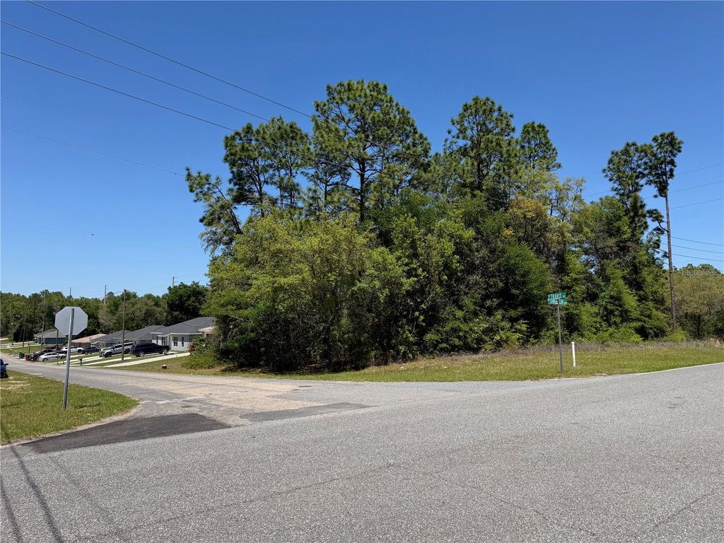 8975 N TRAVIS DRIVE, Citrus Springs, FL 34434