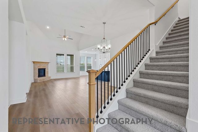 4323 Wildflower Lane, Oak Point, TX 75068