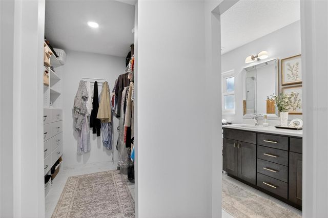 13206 TIFTON DRIVE, Tampa, FL 33618