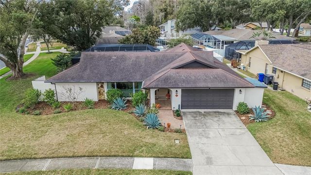 13206 TIFTON DRIVE, Tampa, FL 33618