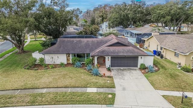 13206 TIFTON DRIVE, Tampa, FL 33618