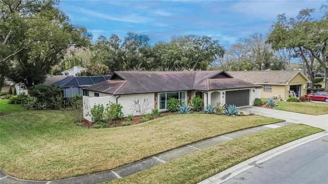 13206 TIFTON DRIVE, Tampa, FL 33618