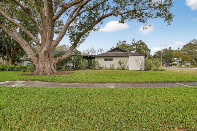 13206 TIFTON DRIVE, Tampa, FL 33618