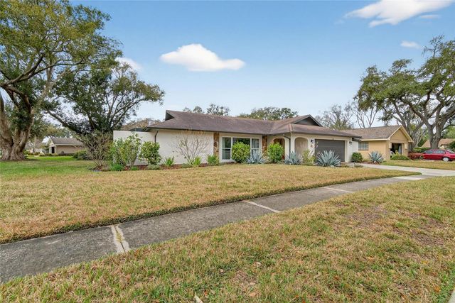 13206 TIFTON DRIVE, Tampa, FL 33618