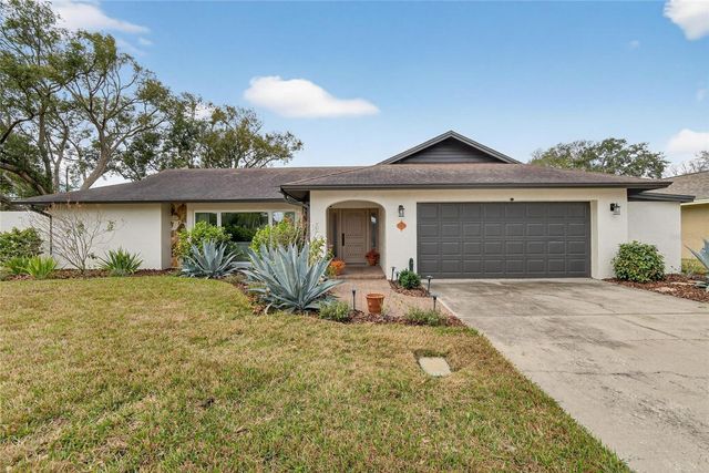 13206 TIFTON DRIVE, Tampa, FL 33618