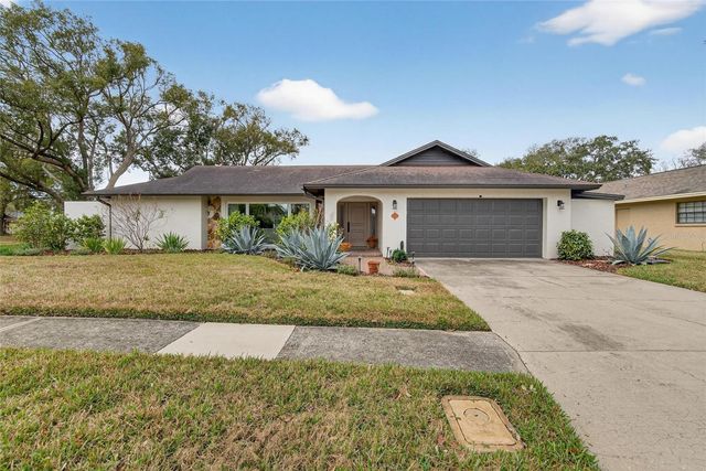 13206 TIFTON DRIVE, Tampa, FL 33618