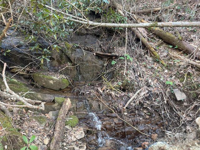 5 Copperhead Cove, Sylva, NC 28779