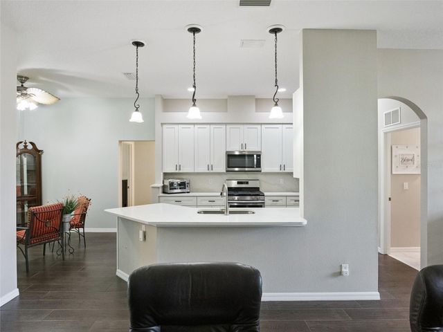 22240 CALEDONIA DRIVE, Leesburg, FL 34748