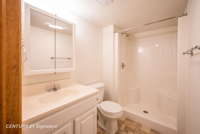 1724 Middle Point Drive, Alger, MI 48610