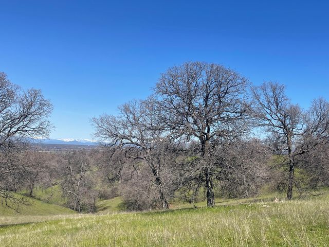 Lot 59 Pimlico Court, Cottonwood, CA 96022