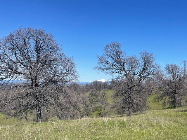 Lot 59 Pimlico Court, Cottonwood, CA 96022