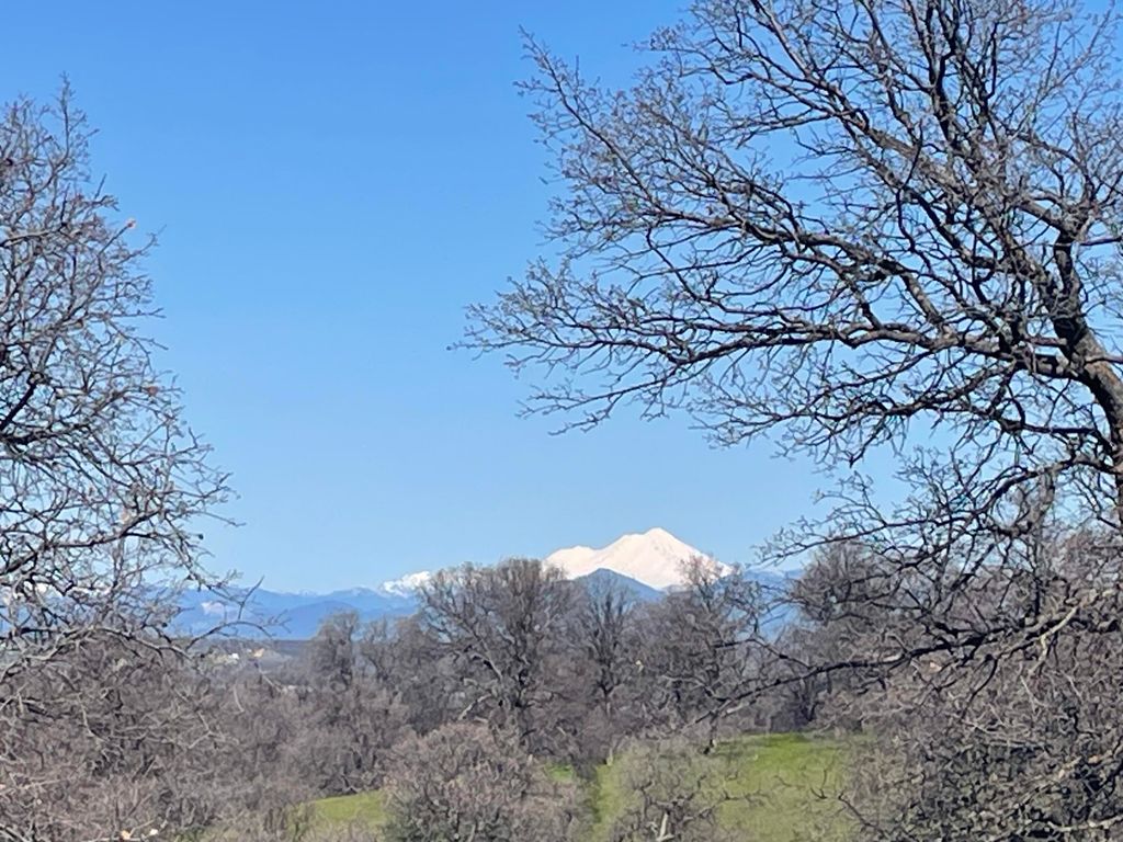 Lot 59 Pimlico Court, Cottonwood, CA 96022