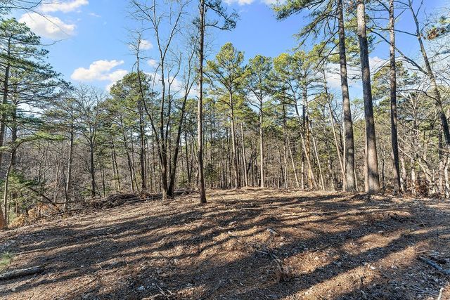 43 Pivot Rock Road, Eureka Springs, AR 72632