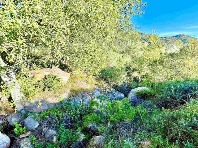 0 Mt Olympus Valley, Fallbrook, CA 92028
