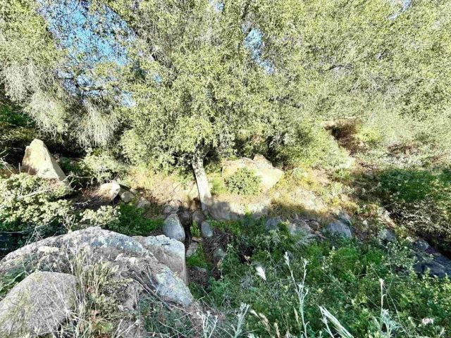 0 Mt Olympus Valley, Fallbrook, CA 92028