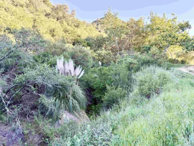 0 Mt Olympus Valley, Fallbrook, CA 92028