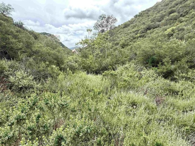 0 Mt Olympus Valley, Fallbrook, CA 92028