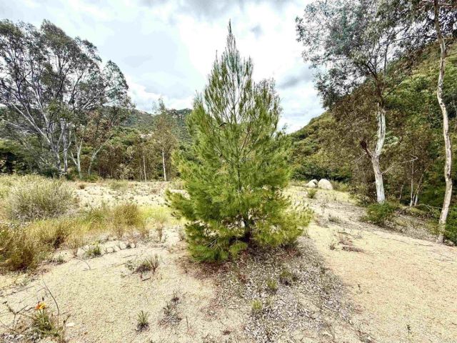 0 Mt Olympus Valley, Fallbrook, CA 92028