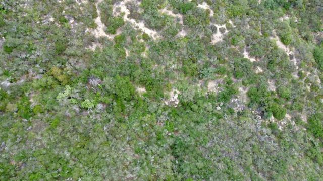 0 Mt Olympus Valley, Fallbrook, CA 92028