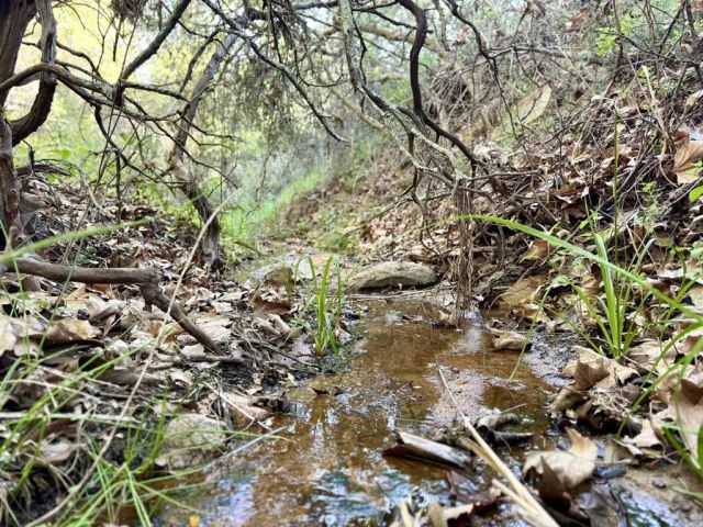 0 Mt Olympus Valley, Fallbrook, CA 92028