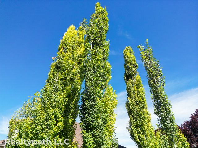 1062 E 1150 ST, Pleasant Grove, UT 84062