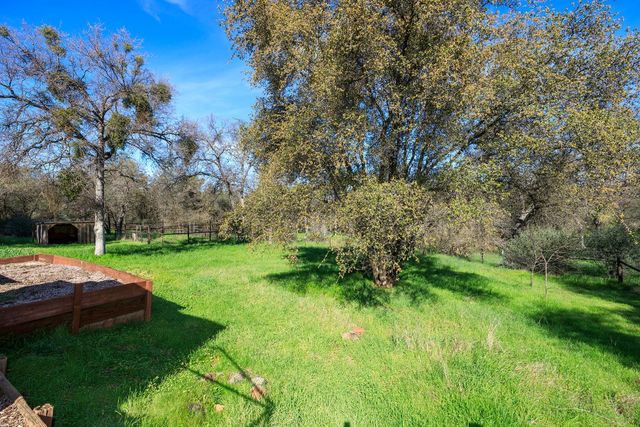 10347 Narciso Way, Coulterville, CA 95311