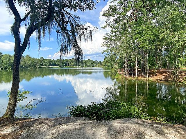 462 Woodgate Way, Summerville, SC 29485