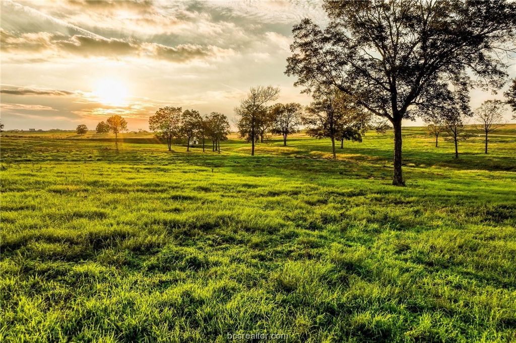 TBD Sunny Hills Lot 34 Drive, Chappell Hill, TX 77426