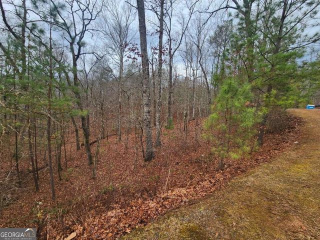 LOT 9 Harris Creek Drive, Ellijay, GA 30540