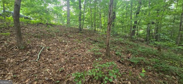 LOT 9 Harris Creek Drive, Ellijay, GA 30540