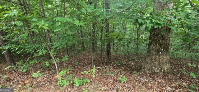 LOT 9 Harris Creek Drive, Ellijay, GA 30540