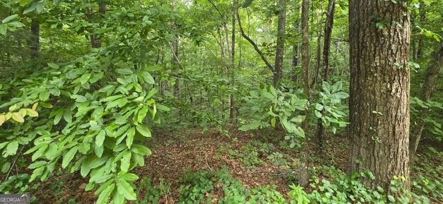 LOT 9 Harris Creek Drive, Ellijay, GA 30540
