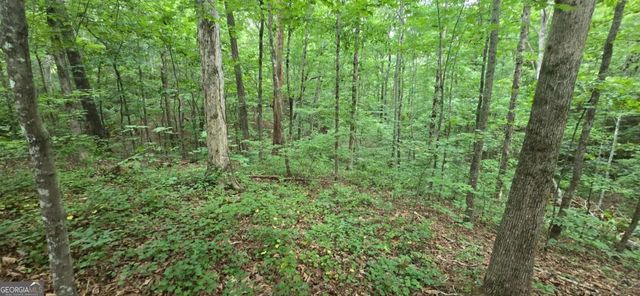 LOT 9 Harris Creek Drive, Ellijay, GA 30540