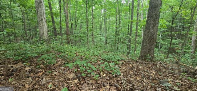 LOT 9 Harris Creek Drive, Ellijay, GA 30540