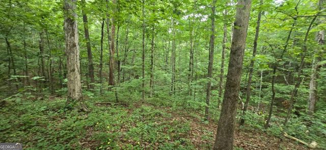 LOT 9 Harris Creek Drive, Ellijay, GA 30540