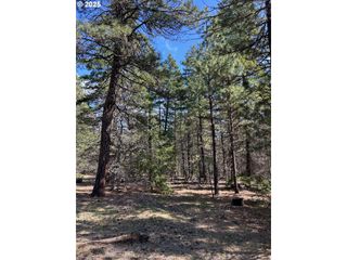 Lot 3 Thompson Tr, Goldendale, WA 98620