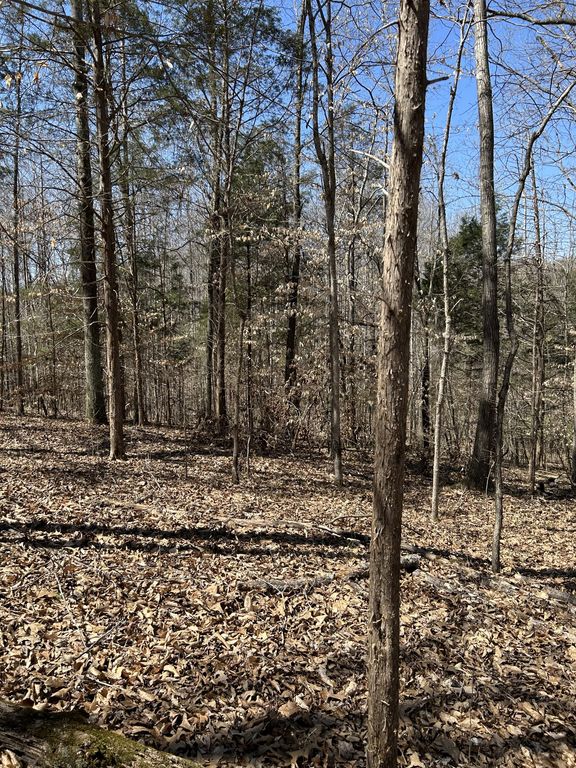 820 Lucas Rd, Dickson, TN 37055