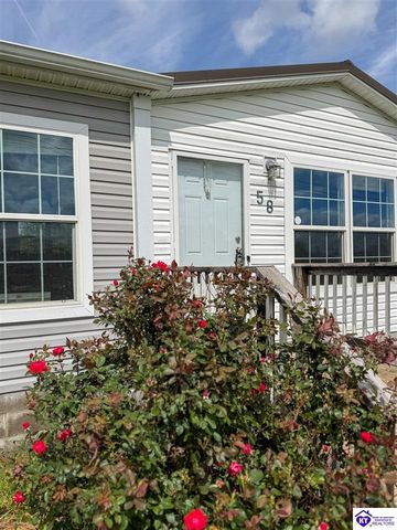 58 Limestone Lane, Rineyville, KY 40162
