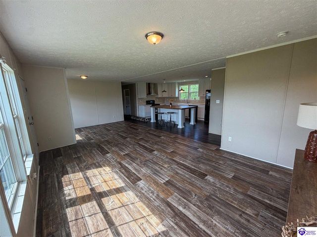58 Limestone Lane, Rineyville, KY 40162