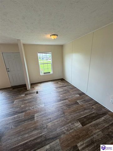 58 Limestone Lane, Rineyville, KY 40162