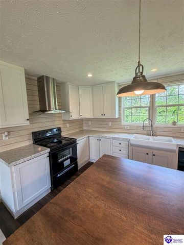 58 Limestone Lane, Rineyville, KY 40162