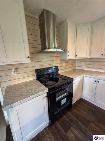 58 Limestone Lane, Rineyville, KY 40162