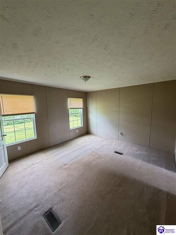 58 Limestone Lane, Rineyville, KY 40162