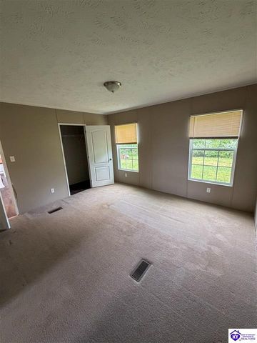 58 Limestone Lane, Rineyville, KY 40162