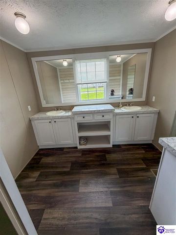 58 Limestone Lane, Rineyville, KY 40162